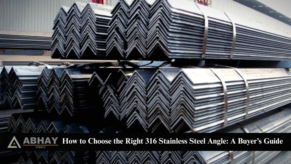 SS 316 Angle